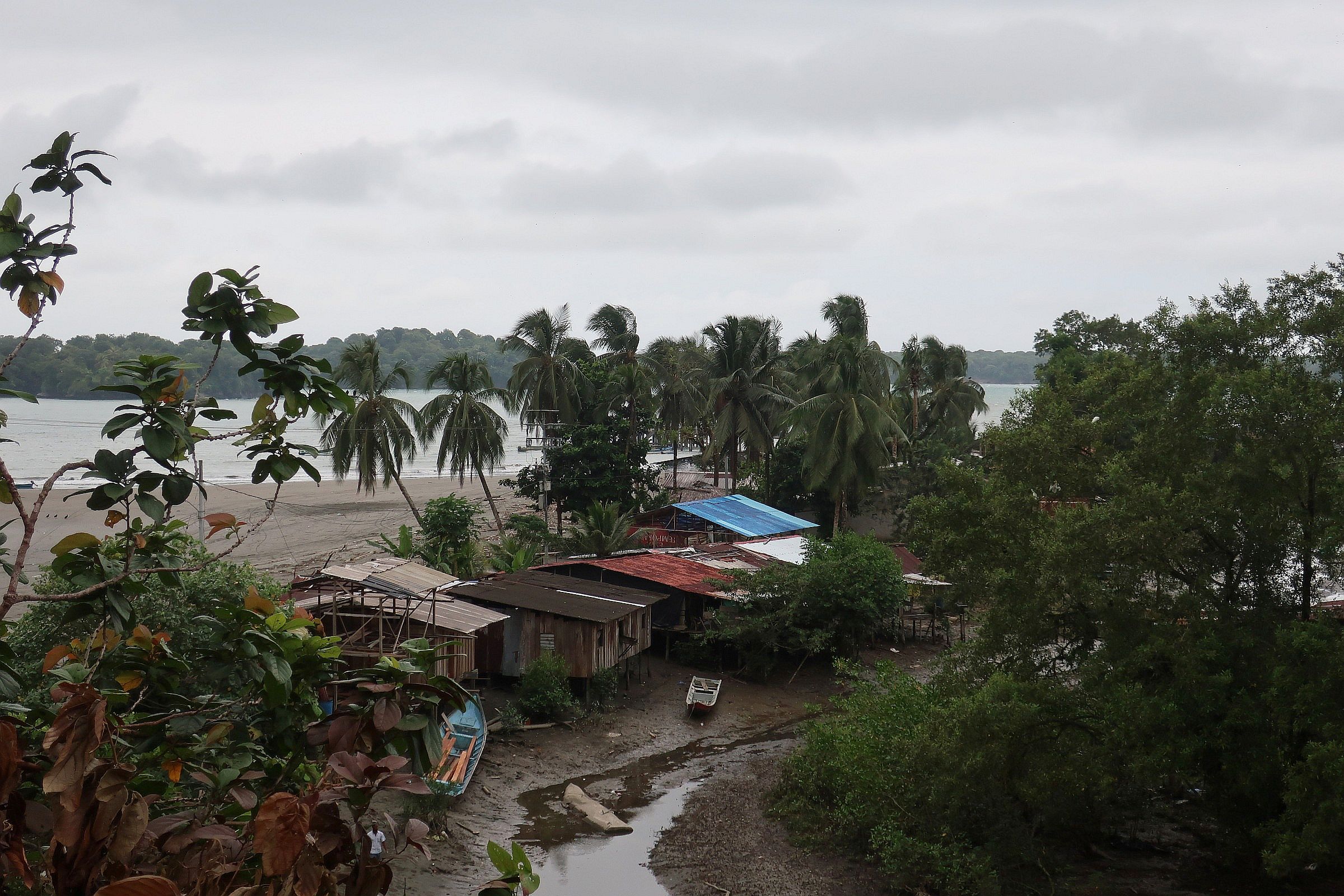 2018-12-13,Filbo Kolumbien, Uramba Malaga,154910_IMG_3282