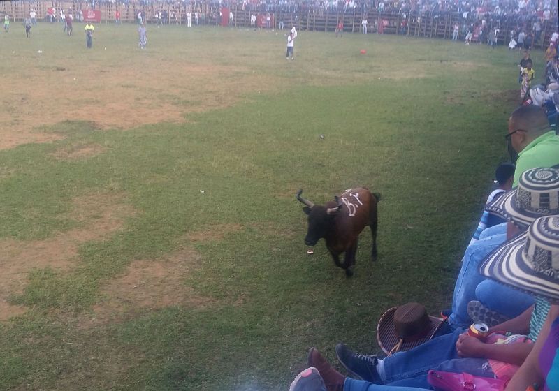 2018-12-23,Filbo Kolumbien,Riosucio,_170838