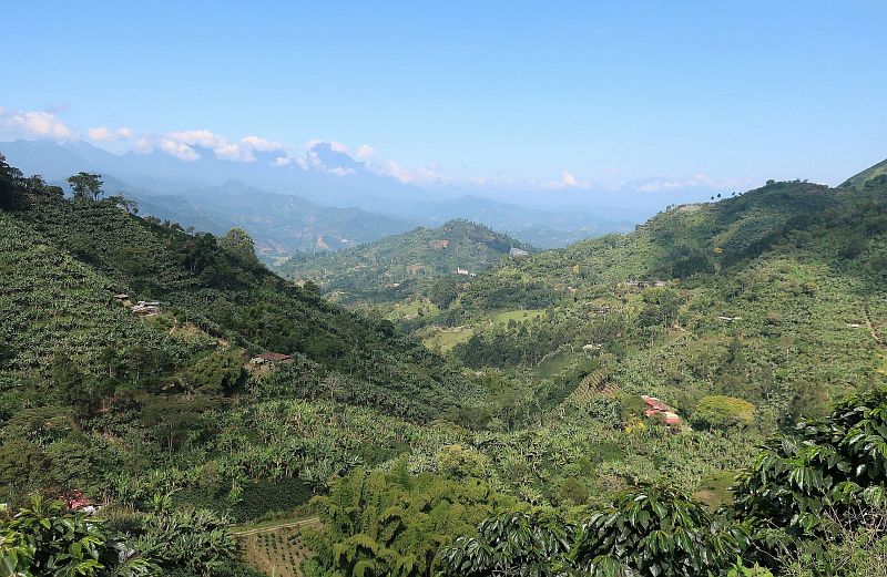 2018-12-26, Filbo Kolumbien, Reg. Riosucio,100705_IMG_3369