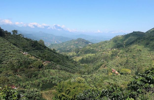 2018-12-26, Filbo Kolumbien, Reg. Riosucio,100705_IMG_3369