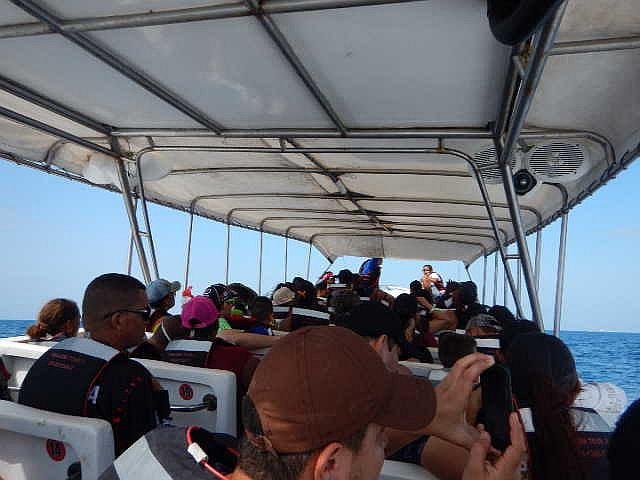 2019-01-20, Filbo Kolumbien,Islote,291e1c0e