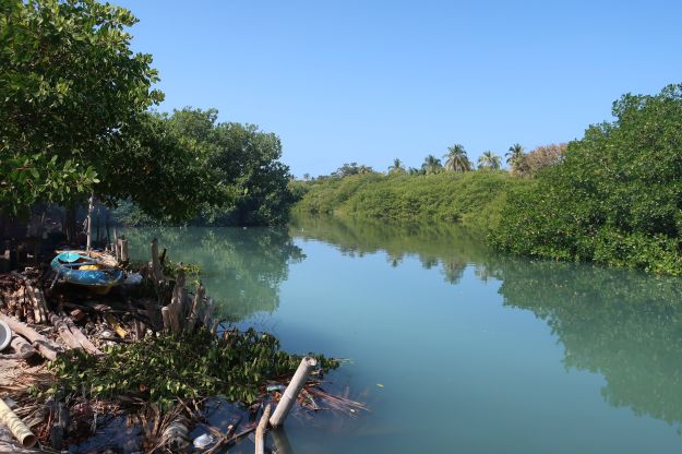 2019-01-20, Filbo Kolumbien,Mucura,05544_IMG_3474