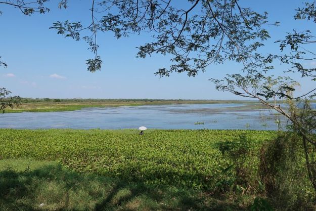 2019-01-22, Filbo Kolumbien, Reg. Gambote,131350_IMG_3520