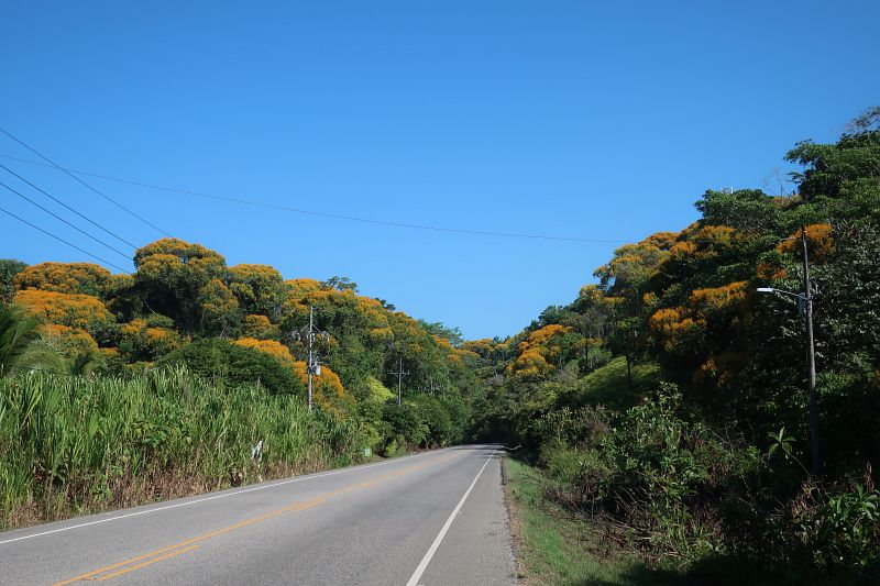 2019-03-17, Filbo Costa Rica, Reg. San Buena,IMG_3905