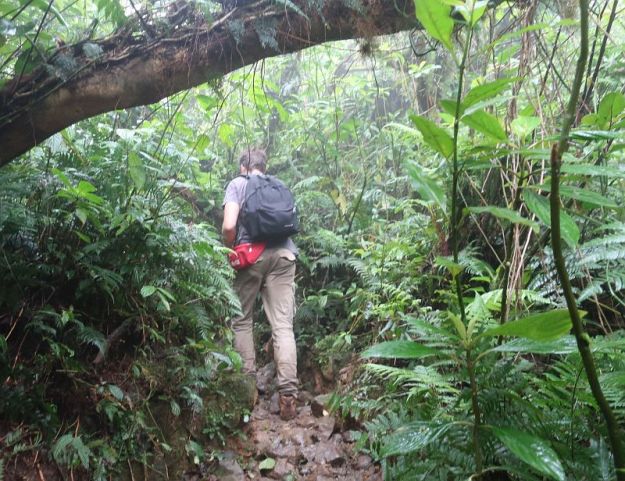 2019-03-24,Filbo Nicaragua,Ometepe,IMG_3957