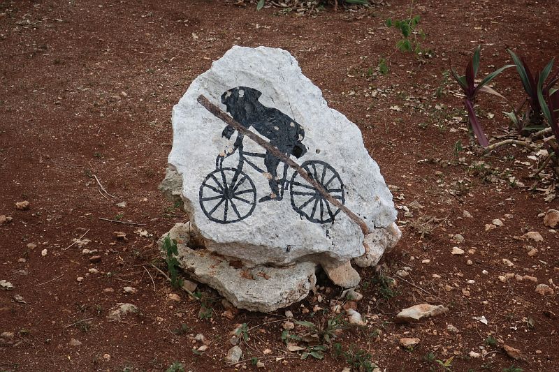 2019-05-08,Do.IMG_4557