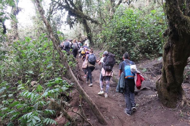 2019-04-15,Filbo Guatemala, Acetenango,IMG_4126