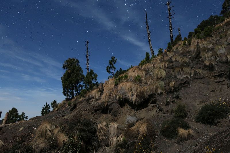 2019-04-15,Filbo Guatemala, Acetenango,IMG_4153