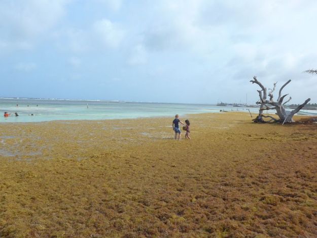 2019-05-04,Mexiko, Mahahugal, Do.P1160355