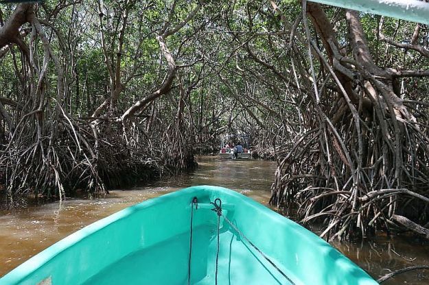 2019-05-10, Mexiko, Celestun, FiDo,IMG_4689