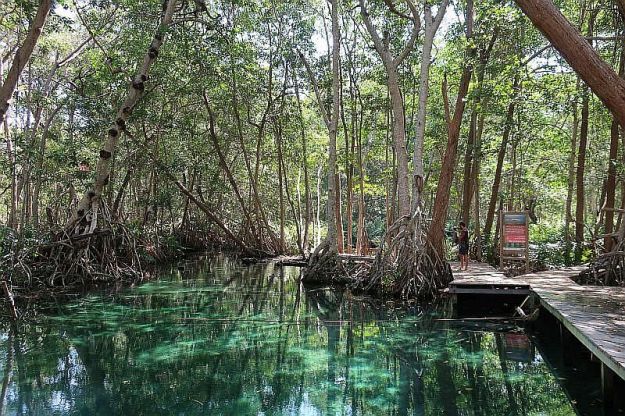 2019-05-10, Mexiko, Celestun, FiDo,IMG_4710