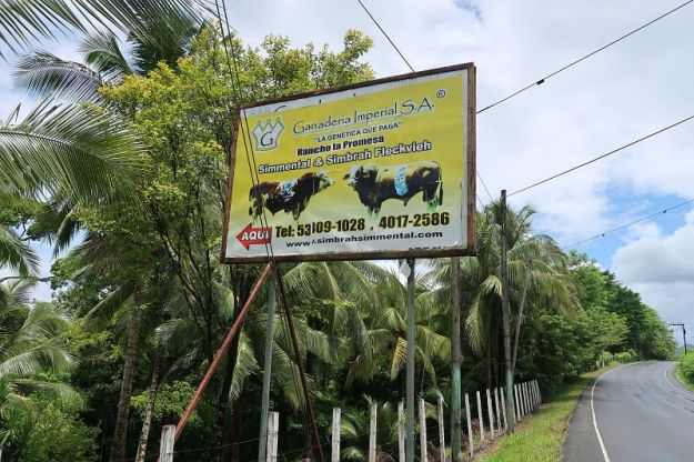 2019-05-23, Filbo Guatemala, Reg. Chacalte,IMG_4957