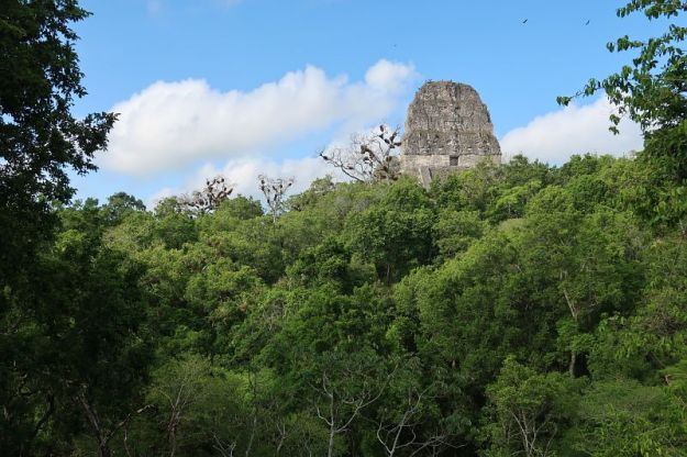 2019-05-26, Filbo Guatemala, Tikal,090024_IMG_4976