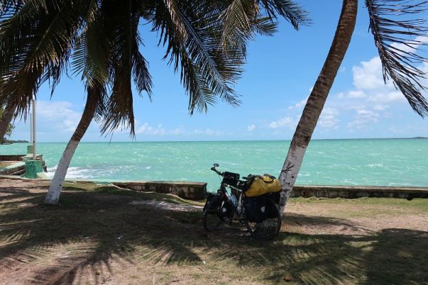 2019-05-30, Filbo Belize,Reg. Corozal, IMG_5023