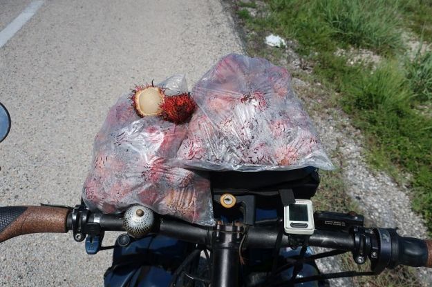 2019-07-25, Filbo Mexiko,IMG_5345