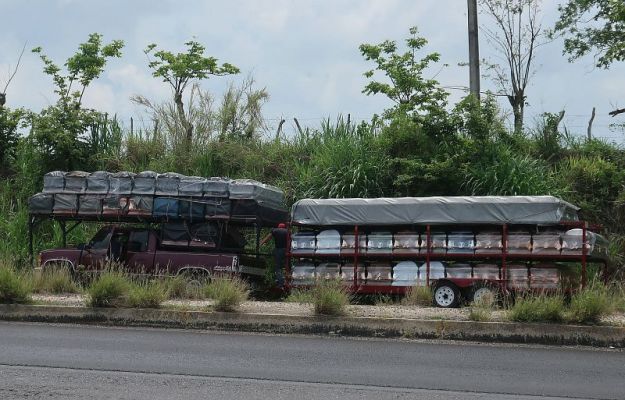 2019-07-31, Filbo Mexiko, Reg. Acuyucan,IMG_5355