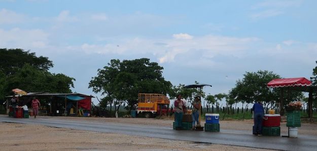 2019-07-31, Filbo Mexiko, Reg. Acuyucan,IMG_5362