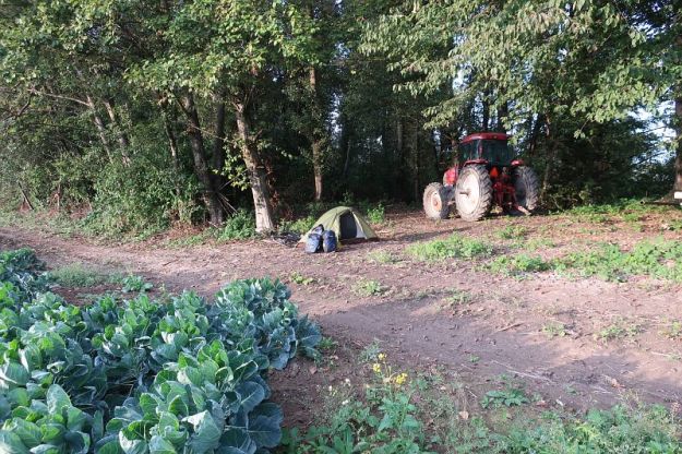 2019-08-24, Filbo Kanada,Reg.Hougen Park,IMG_5457