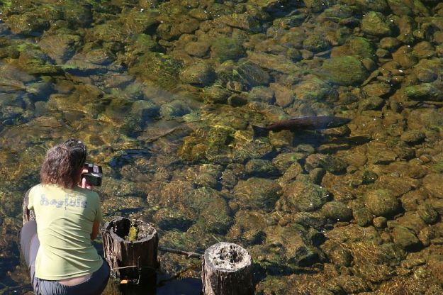 2019-09-01, Filbo Kanada,Clearwater Park,IMG_5527