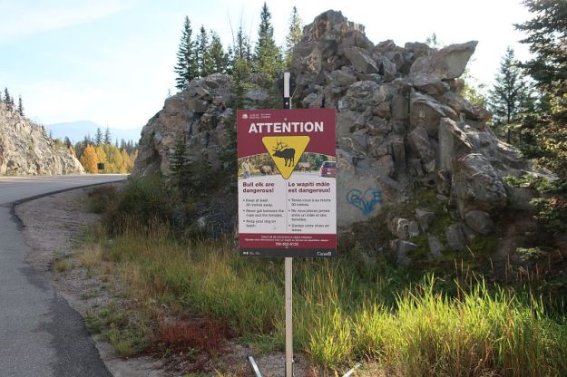 2019-09-07,Filbo Kanada,Reg. Jasper,IMG_5580