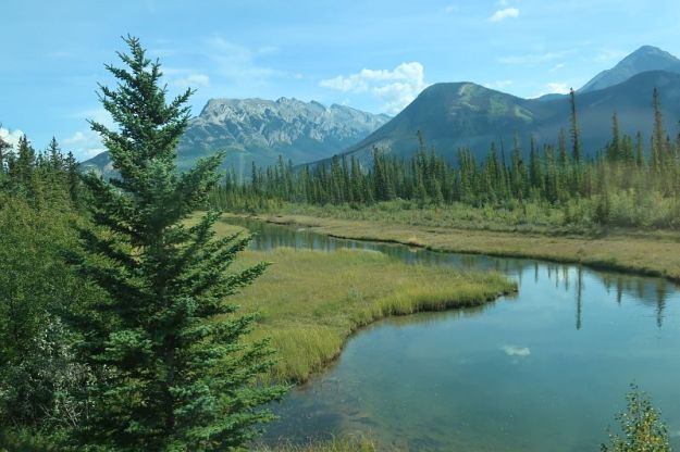 2019-09-07,Filbo Kanada,Reg. Jasper,IMG_5582