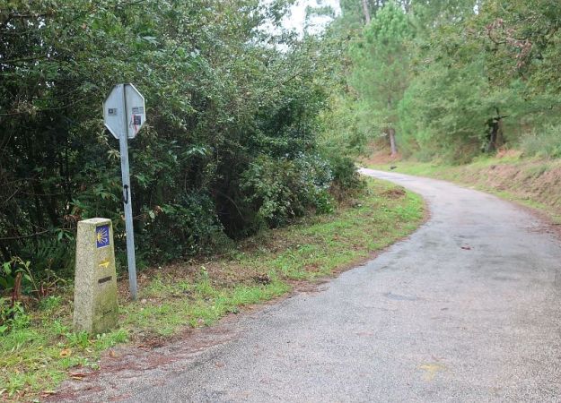 2019-10-18Filbo Spanien,Peregrino,IMG5751