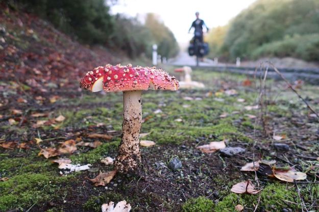 2019-10-21Filbo Span.Palas d. ReiIMG5764