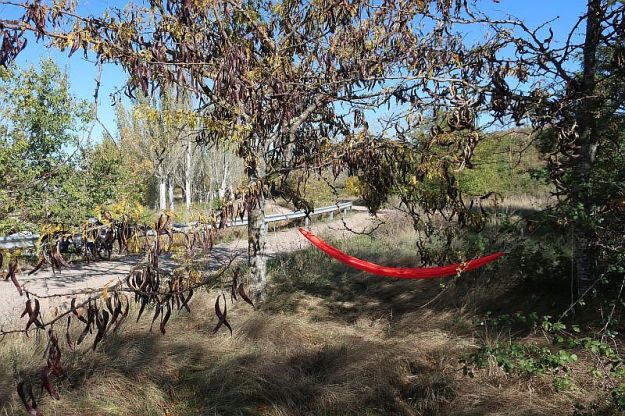 2019-10-28Filbo Span.Reg. BeloradoIMG5798