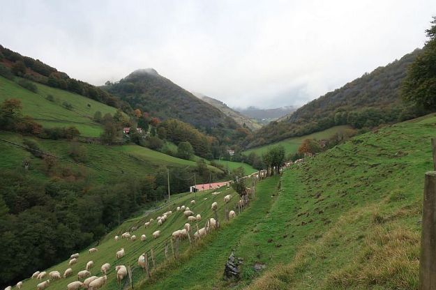 2019-10-31,Filbo Span.Reg.Erreka,IMG5814