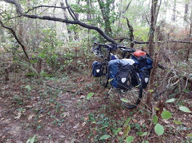 2019-11-02,Filbo France, Bidart, Hdy,114548