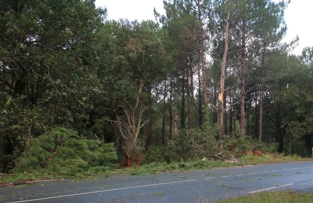 2019-11-03, Filbo Frankreich, Seignosse,IMG5830 - Kopie