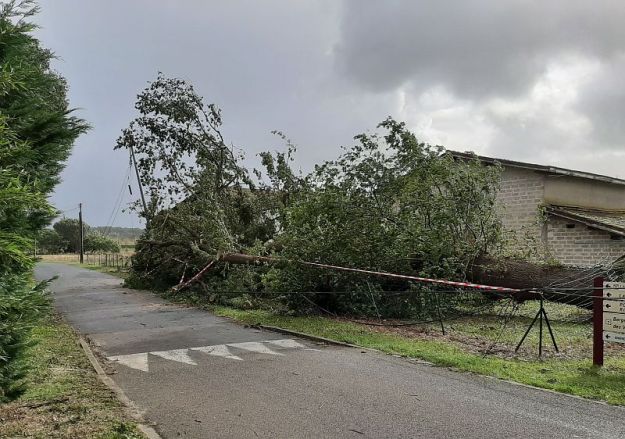 2019-11-03,Filbo France, Reg. Leon Hdy,132107