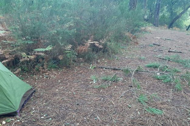 2019-11-03,Filbo France, Seignosse Hdy,090412