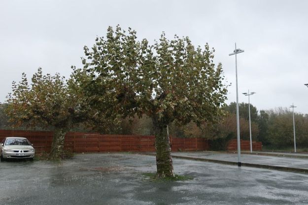 2019-11-05, Filbo Frankreich, Vielle,IMG5838