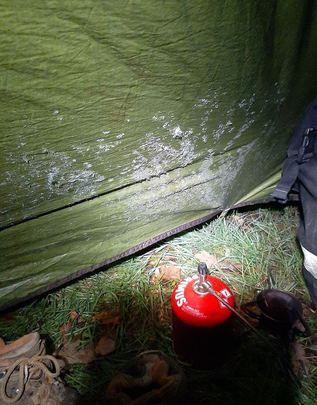 2019-11-12,Filbo France,Reg.GenestonHdy230907