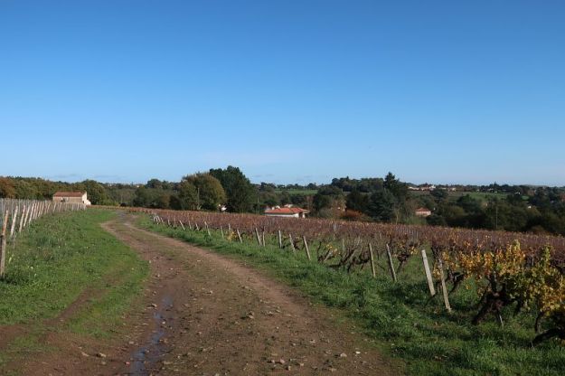 2019-11-14,Filbo France,Reg. Ancenis ,IMG_5851