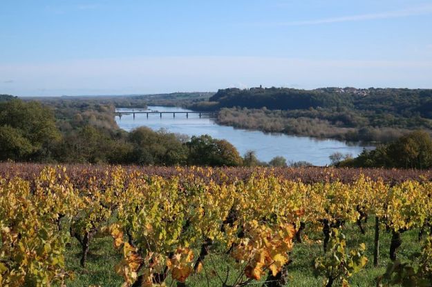 2019-11-14,Filbo France,Reg. Ancenis,IMG_5850