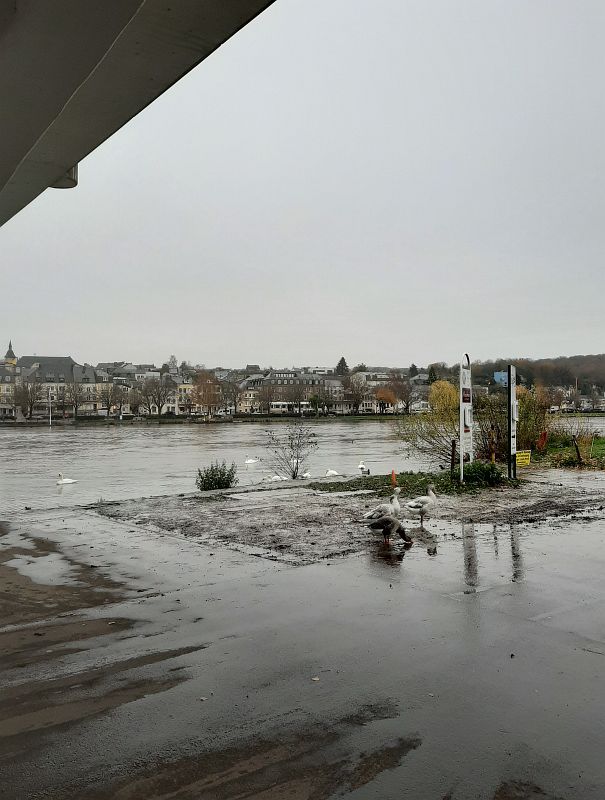 2019-12-01, Filbo Deutschl.Perl Hdy122531