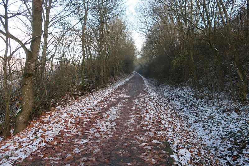 2019-12-02,Filbo Deutschld,Reg. Bitburg,IMG_5967