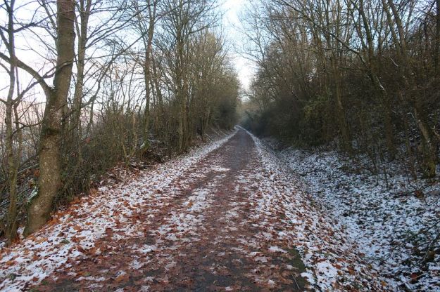 2019-12-02,Filbo Deutschld,Reg. Bitburg,IMG_5967