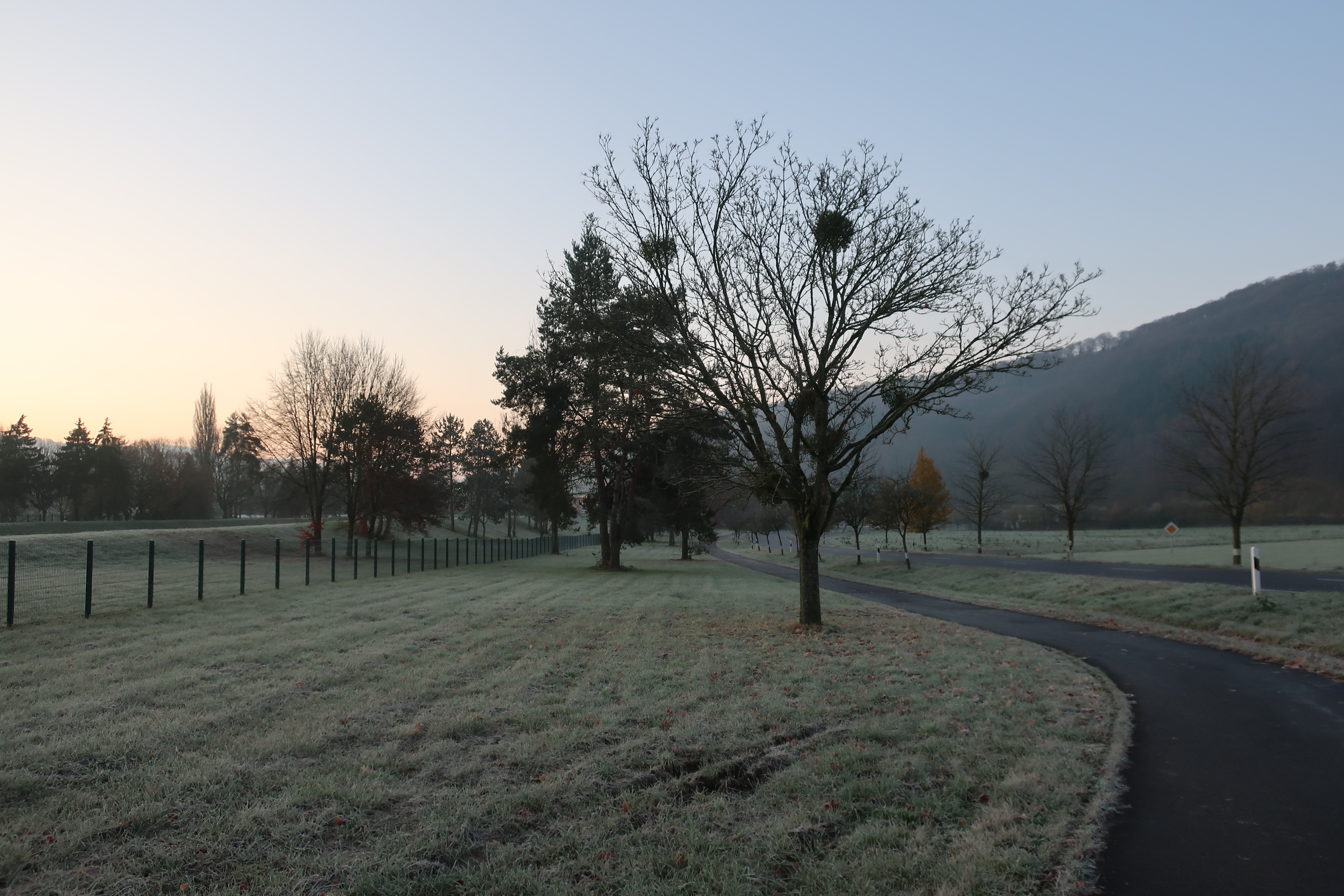 2019-12-02,Filbo Luxemb. Hinkel, IMG_5961