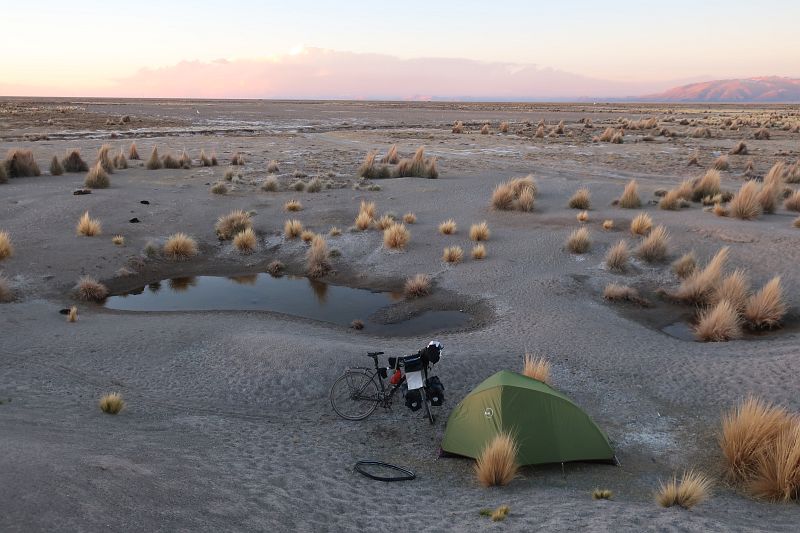 2018-08-26, Filbo Bolivien, Reg. Huari,181617_IMG_2293