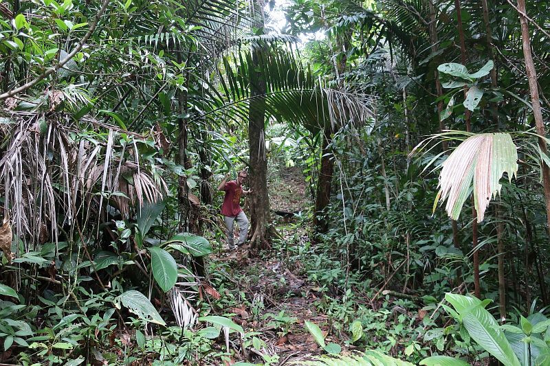 2018-12-13,Filbo Kolumbien, Uramba Malaga,151013_IMG_3267